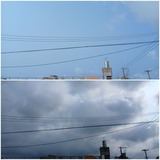 天気…【たまの日記】