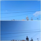 朝…【たまの日記】