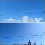今日も…【たまの日記】