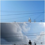 若干…【たまの日記】