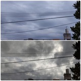 雨…【たまの日記】