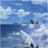 雲…【たまの日記】