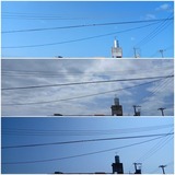 お昼前後…【たまの日記】