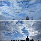 思ってた…【たまの日記】