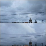 台風…【たまの日記】