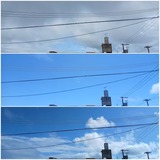 朝…【たまの日記】