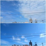 ようやく…【たまの日記】