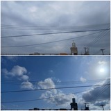 朝…【たまの日記】