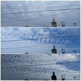 朝…【たまの日記】