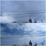 昨日…【たまの日記】