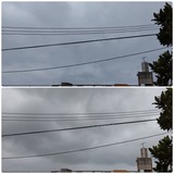 今日…【たまの日記】