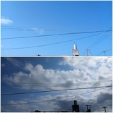 雲…【たまの日記】