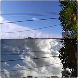 朝…【たまの日記】