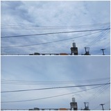 わりぃ～と…【たまの日記】