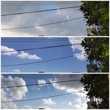 若干…【たまの日記】