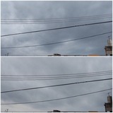 一日中…【たまの日記】