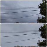 陽射し…【たまの日記】