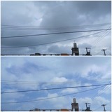 まさに…【たまの日記】