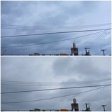 台風30号…【たまの日記】