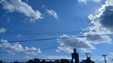 雲…【たまの日記】
