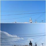 昨日…【たまの日記】