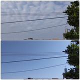 朝…【たまの日記】