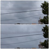 朝…【たまの日記】