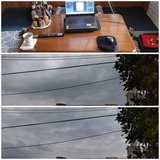 今年…【たまの日記】