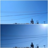 陽射し…【たまの日記】