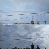 朝方…【たまの日記】