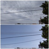 朝…【たまの日記】