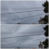 空…【たまの日記】