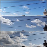 朝…【たまの日記】