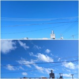 今日…【たまの日記】