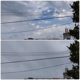 薄日…【たまの日記】