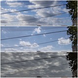 夕方…【たまの日記】