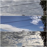 朝方…【たまの日記】