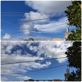 遠くの…【たまの日記】