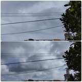 引き続き…【たまの日記】