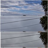 お昼前…【たまの日記】