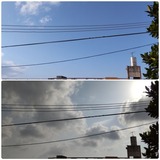 朝…【たまの日記】