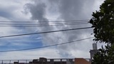 雲…【たまの日記】