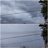 お昼前…【たまの日記】