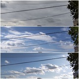 朝…【たまの日記】