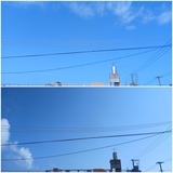 朝…【たまの日記】