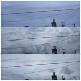 午前中…【たまの日記】