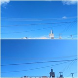 数日ぶり…【たまの日記】