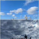 気温…【たまの日記】