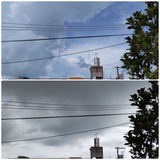 昨日同様…【たまの日記】
