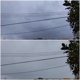 お天道様…【たまの日記】